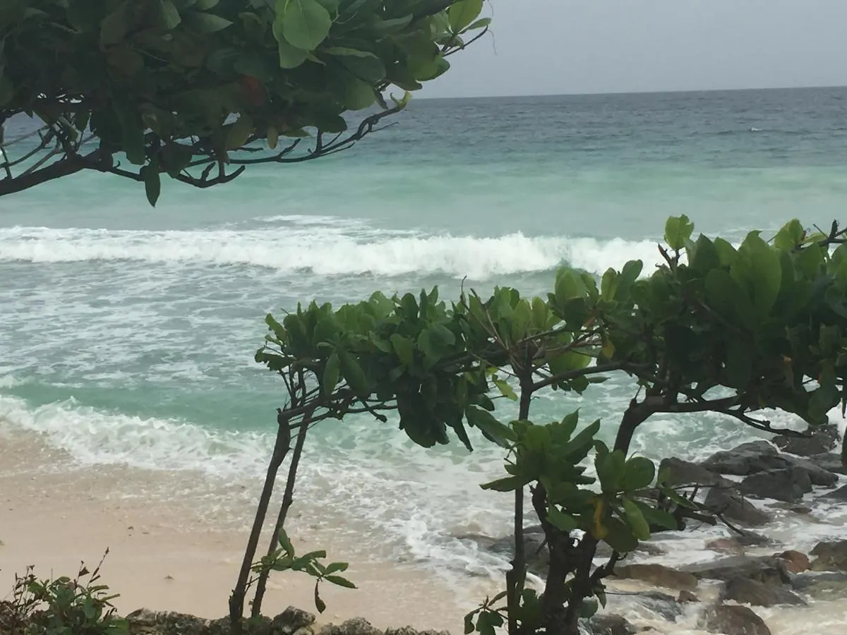 Amaryl The Dream St Lawrence Gap 2Br Condo With Pool Christ Church 0*,  Barbados